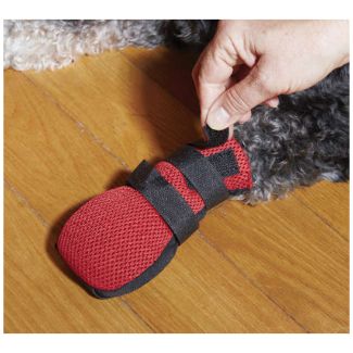 Dog Boot Wound Small