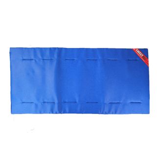 Disinfection Mat 85 x 180cm blue