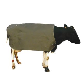 Cow Cover Thermal Emerge Large Friesian