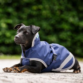Bucas Dog Coat Freedom 300g 50cm