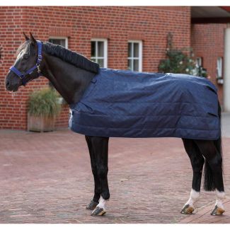 Bucas Rug Liner 100g 155cm/6'9