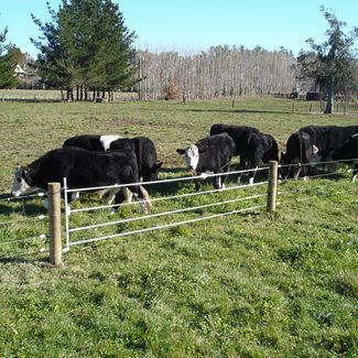 Taragate 4-Strand Electric Gate Kit