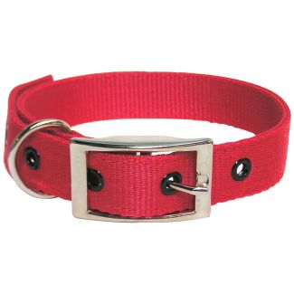 Goat Collar Nylon Buck Red