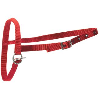 Halter Nylon Calf Leading Red