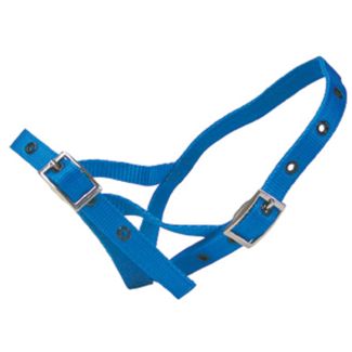 Halter Nylon Calf Tethering Blue