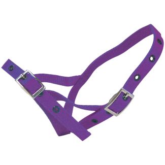 Halter Nylon Calf Tethering Purple