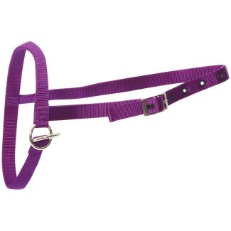 Halter Nylon Calf Leading Purple