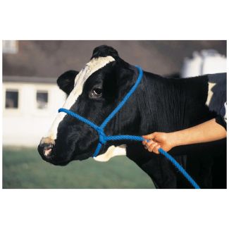 Halter Poly Rope Calf Blue