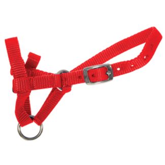 Halter Webbing Alpaca Large Red