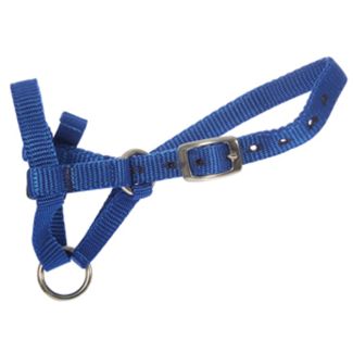 Halter Webbing Alpaca Medium Blue