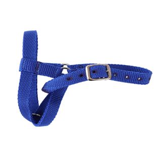 Halter Webbing Goat Medium Blue