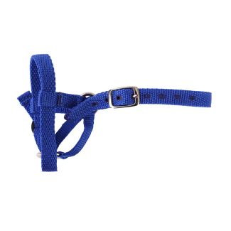 Halter Webbing Sheep Small Blue