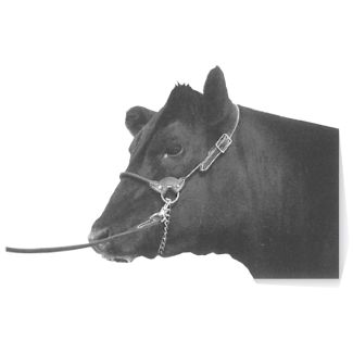 Halter Leather Round Strap Heifer Brown