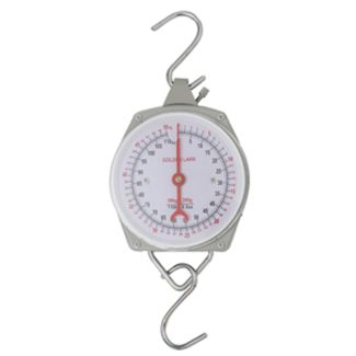 Scale Clockface Economy 50kg