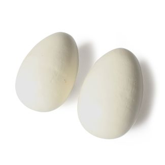 Brood Eggs Painted pair