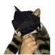 Cat Muzzle Nylon Small Size