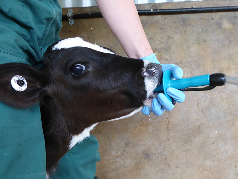 Tube Feeding