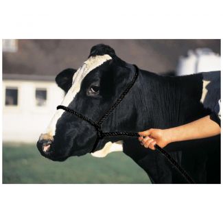 Halter Poly Rope Calf Black