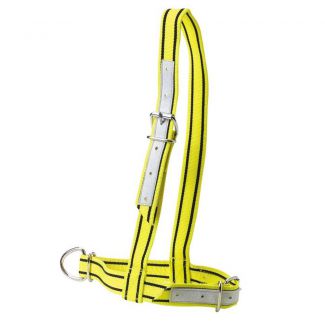 Halter Webbing Cow Black/Yellow