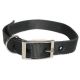 Goat Collar Nylon Buck Black