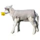 Lamb Jacket Recycled Wool Felt 10pk