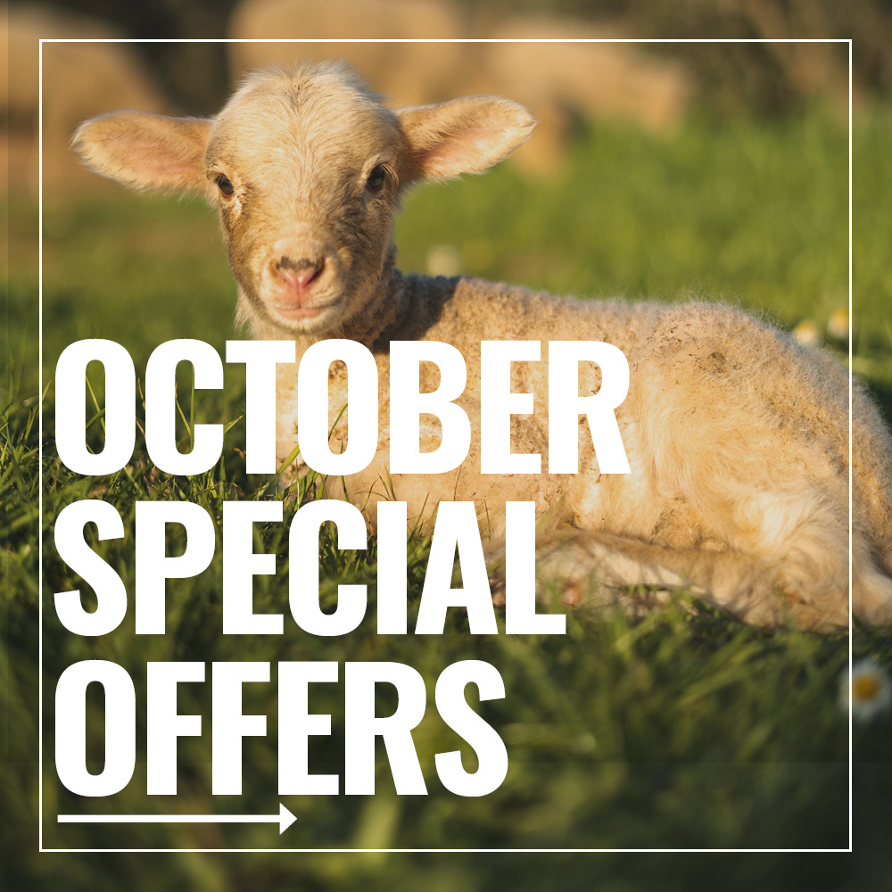 October Specials